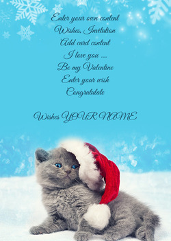 Karta s vánoční kotě